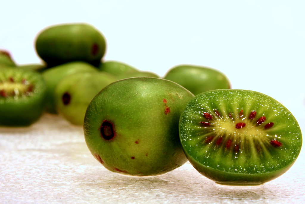 Actinidia-arguta.webp